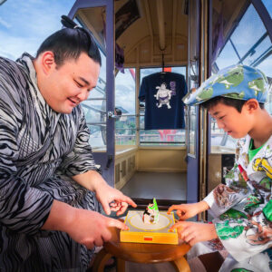 高見朝蒼　大富士 高見朝蒼 大富士